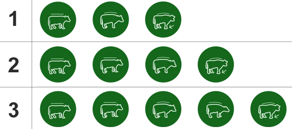 3 scoring systems illustration