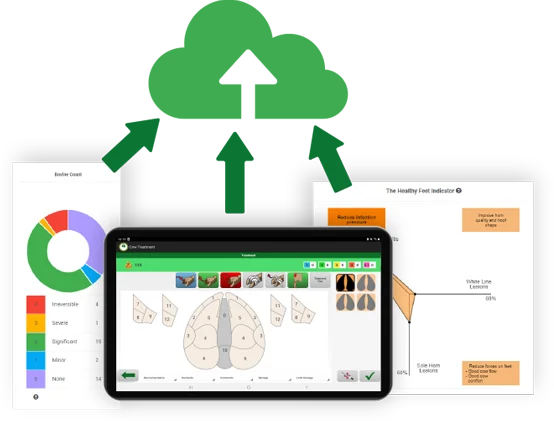 app and reports going into the cloud illustration