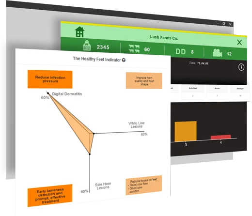 report and data graph from systems