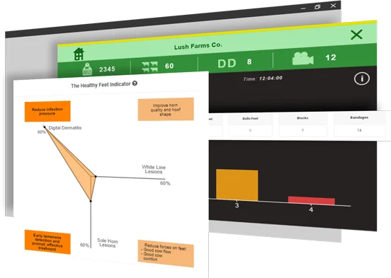 reports and dashboard screens