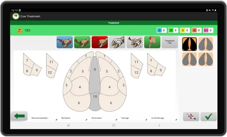 all4feet on tablet scoring screen