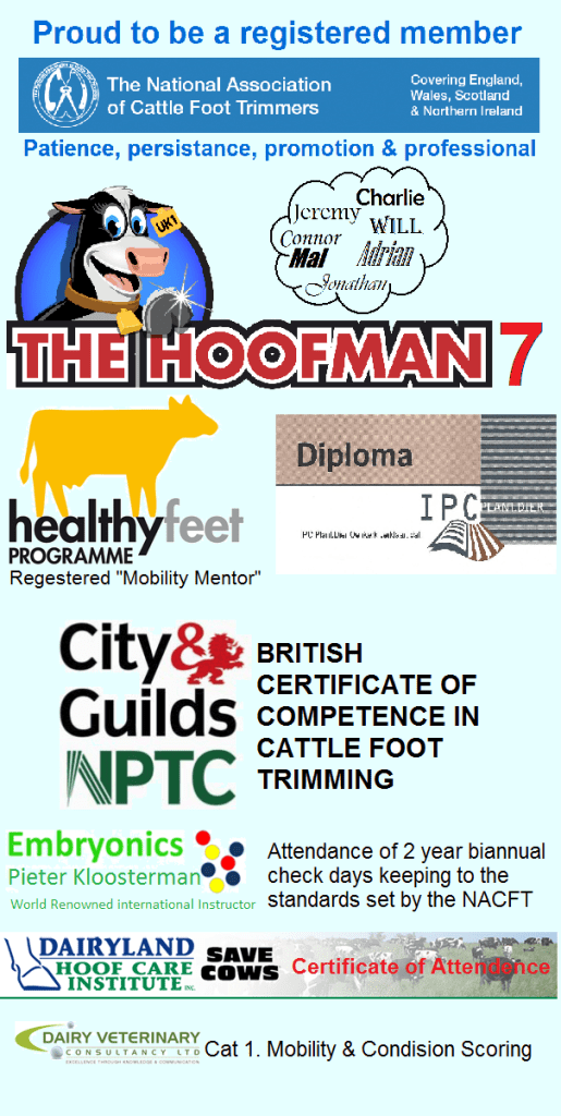 Hoofman Banner 515x1024